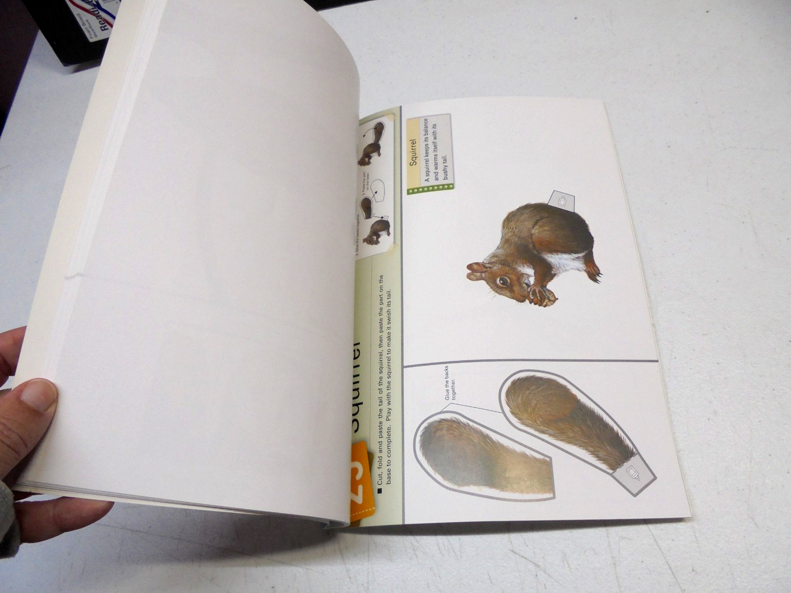 Paper Playtime Animals Cut & Paste Activity Book