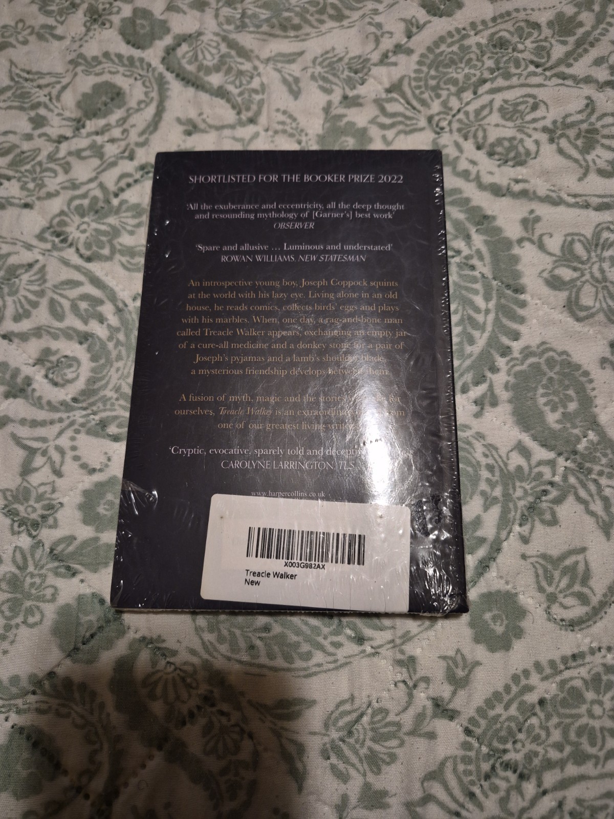 Treacle Walker Paperback Alan Garner