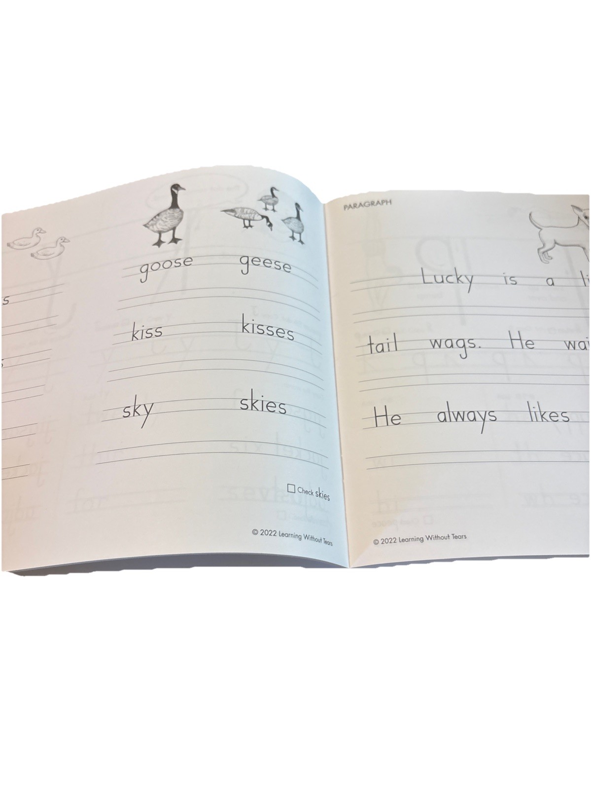 Handwriting Without Tears Printing Power Workbook Homeschool 9th Ed 2018 Name*