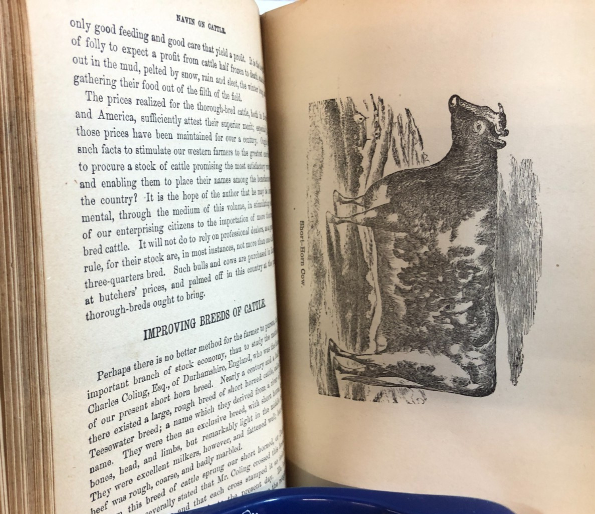 Veterinary practice; or, Explanatory Stock Doctor, Navin, 1884, E-94