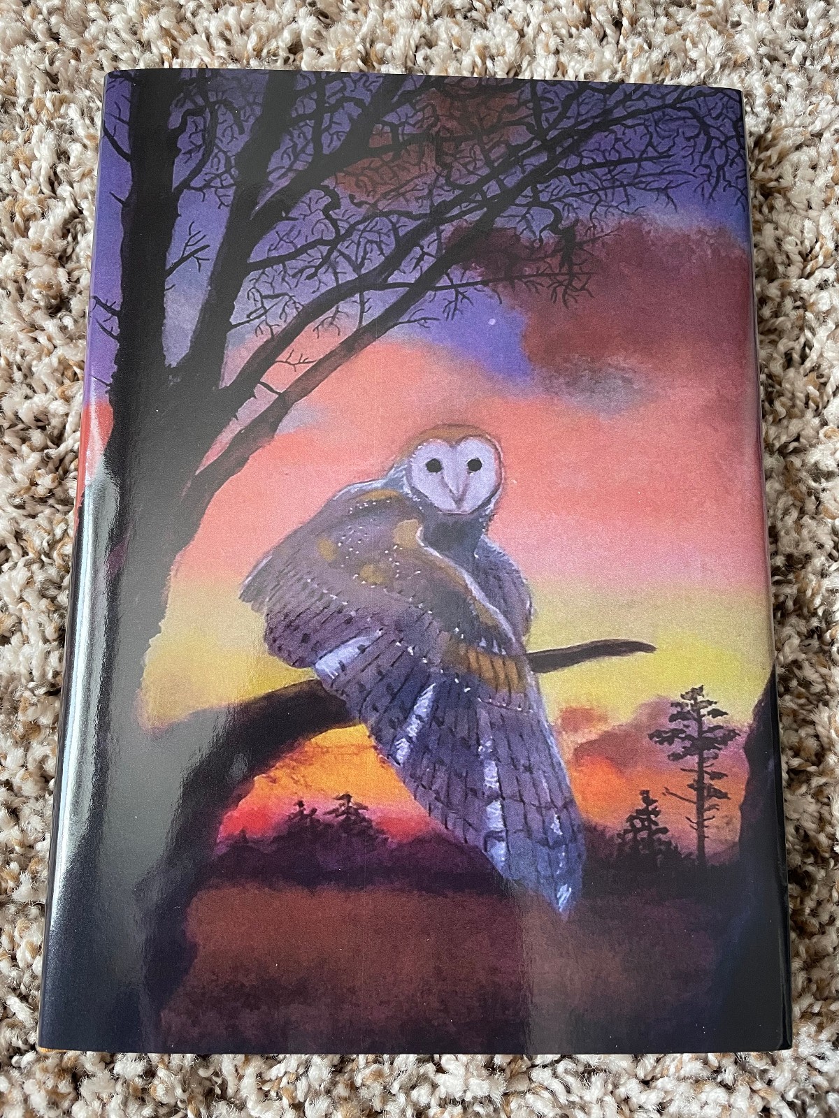 VOTIVE OFFERINGS Valentine/Howard/Bell/Insole LIMITED 345 copy Sarob Press HC