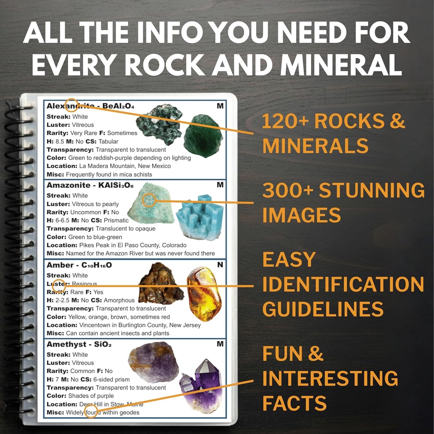 Rocks and Minerals of the United States Identification Field Guide | Thick Wa…
