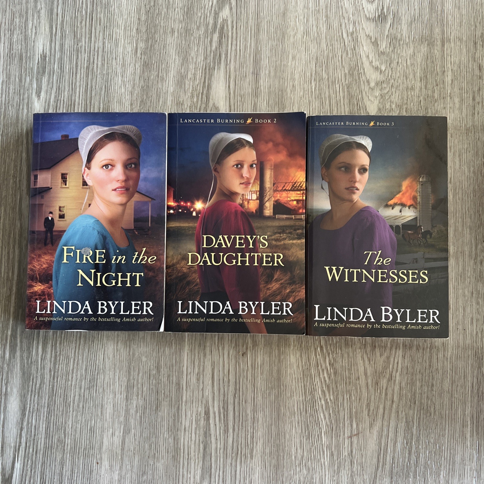 Lancaster Burning Trilogy 1-3 By Linda Byler Amish Romance 2013 Books Paperbacks