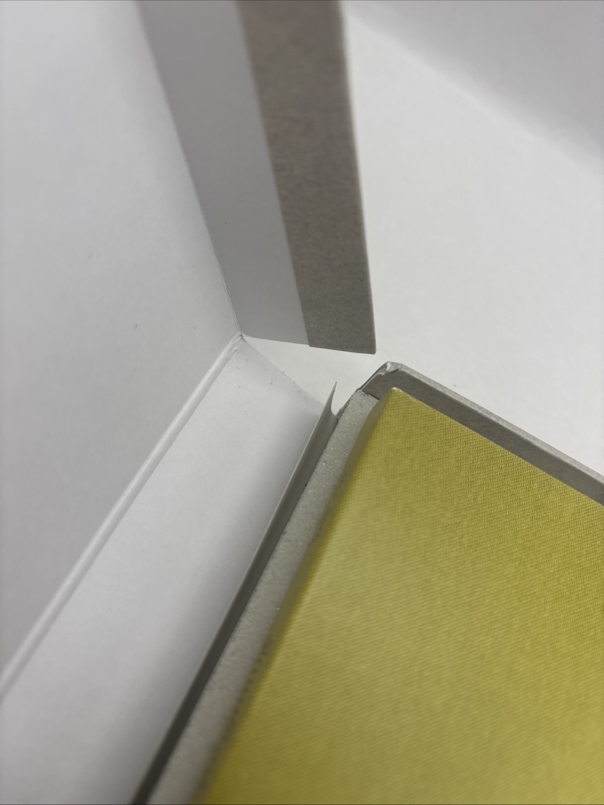 Signed Alec Soth Limited Edition Box With Postcards – Gathered Leaves