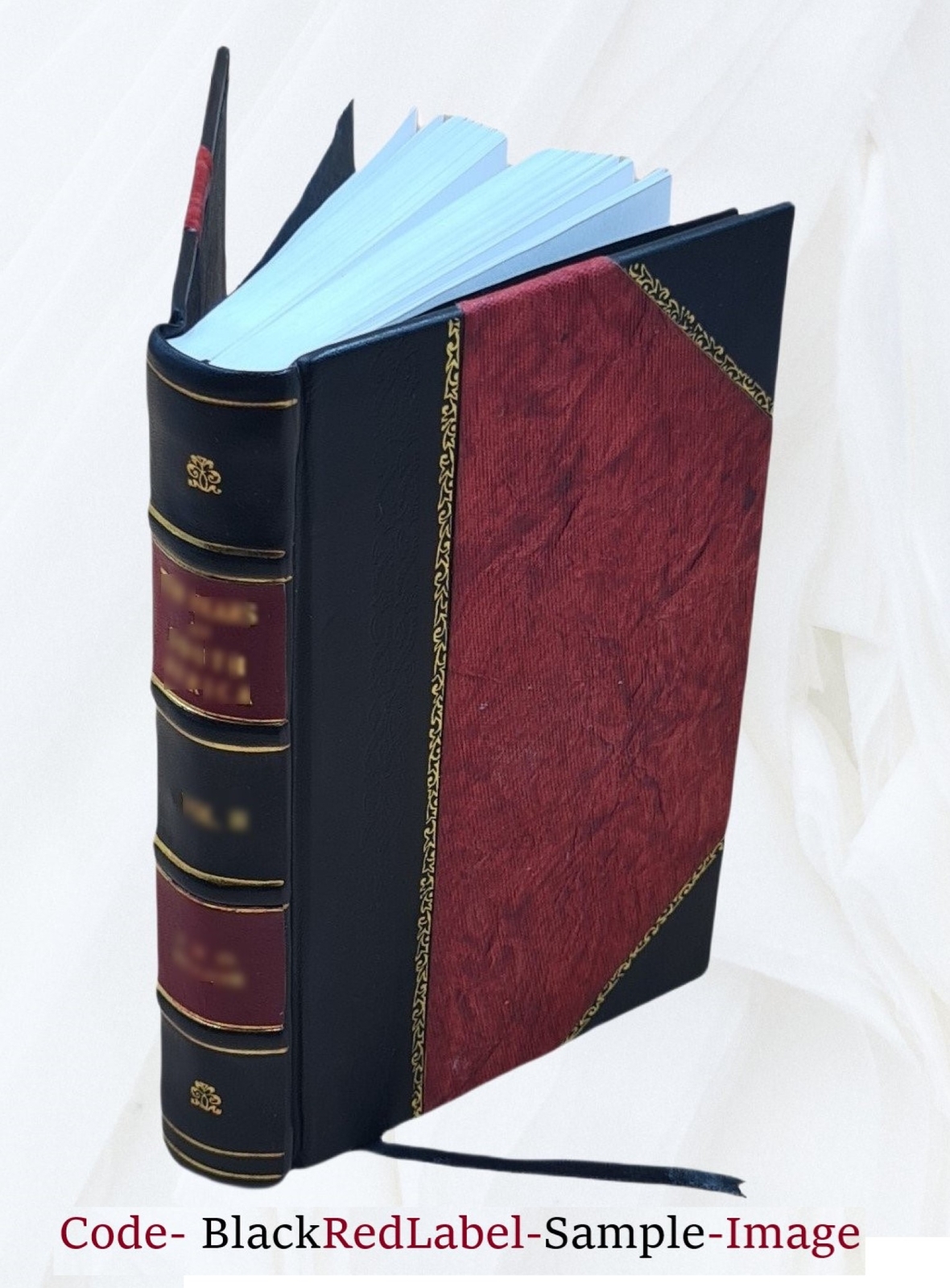 The Travis (Travers) Family And Its Allies : Darrocott, Lewis, L [Leather Bound]