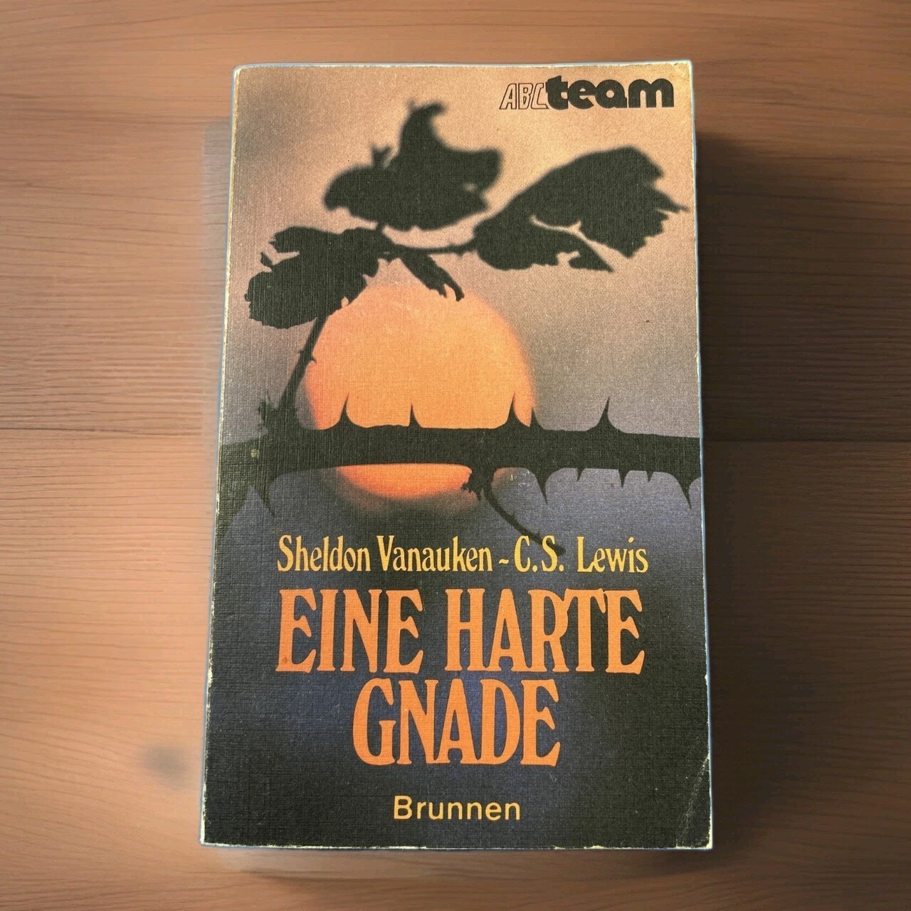 Eine Harte Gnade Vanauken & Lewis 1984 Vintage Paperback Book