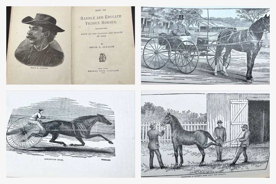 1918 HOW to HANDLE & EDUCATE VICIOUS HORSES-205 Pages-Oscar Gleason-Illustrated