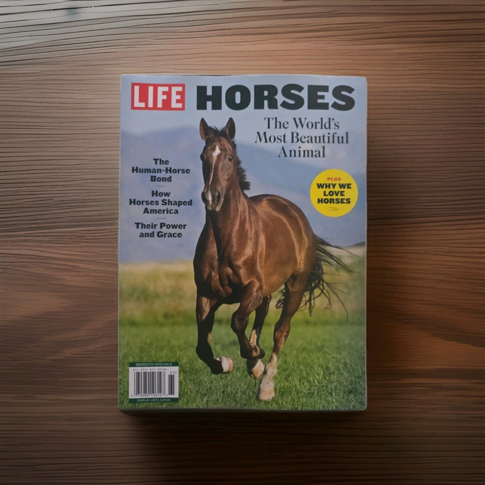 Life Magazine Horses The World&rsquo;s Most Beautiful Animal