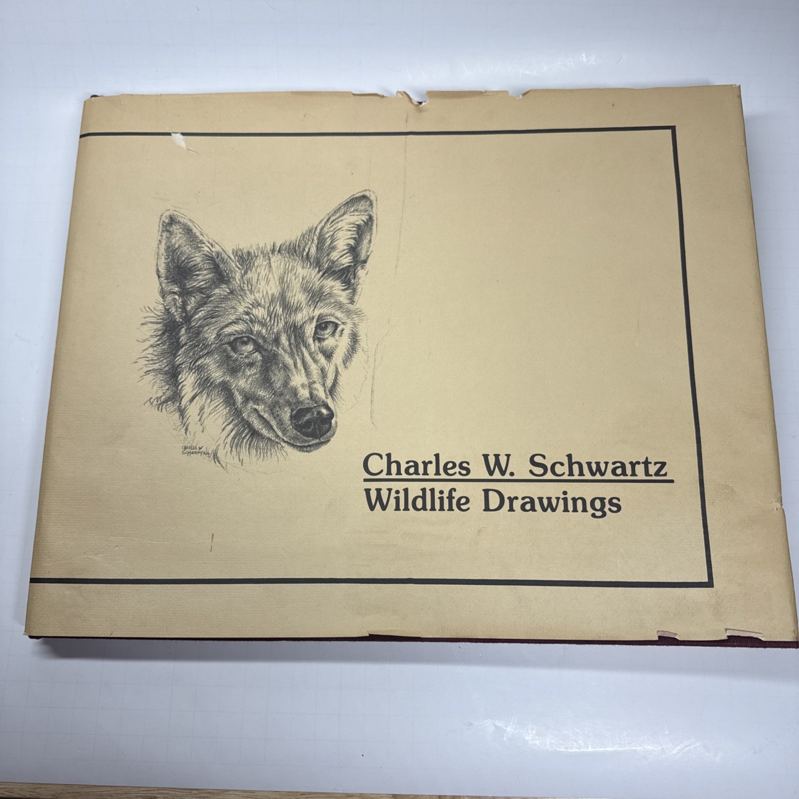 Wildlife Drawings by Charles W. Schwartz 1980 HC First Edition