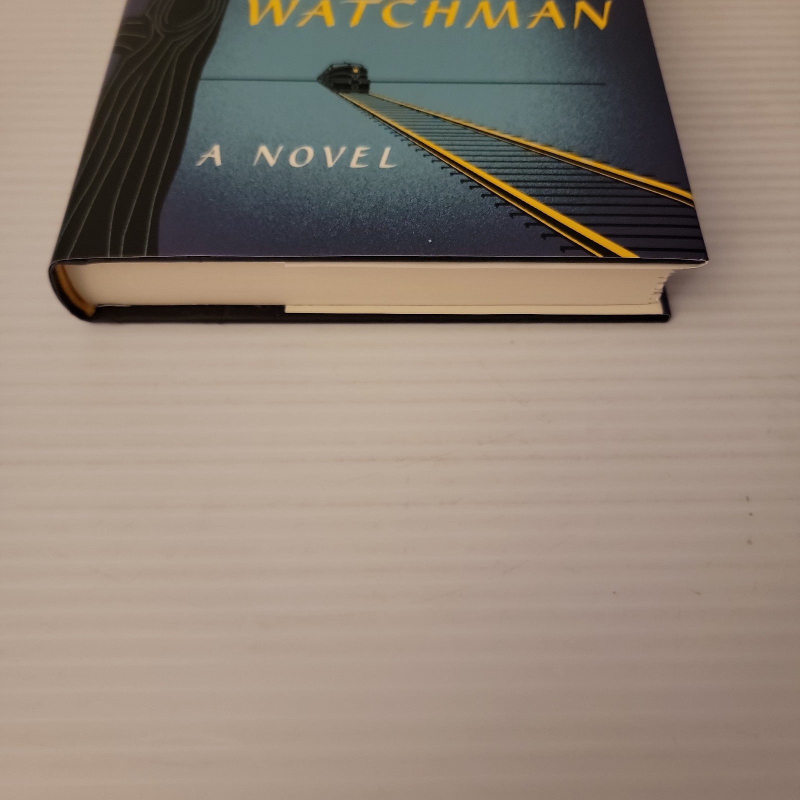 Harper Lee Go Set a Watchman First Edition First Printing HC DJ 2015