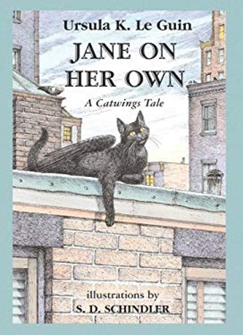 Jane on Her Own Hardcover S. D. Schindler