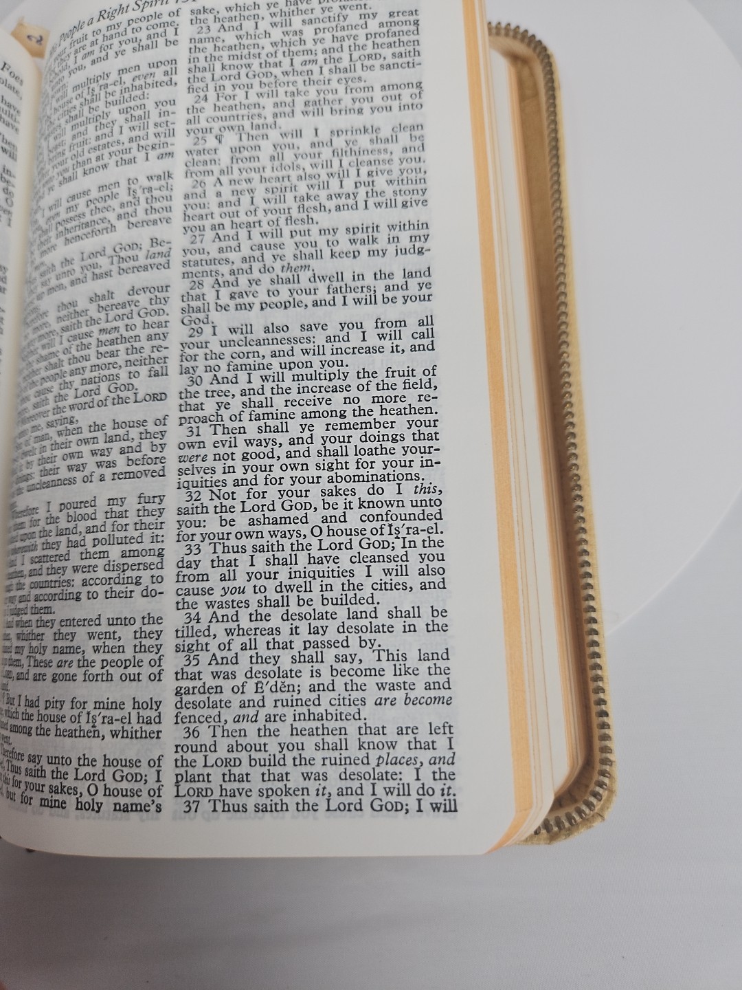 1950 World Publishing Bible White Cover, Zipper, Name Imprinted On Cover Cross