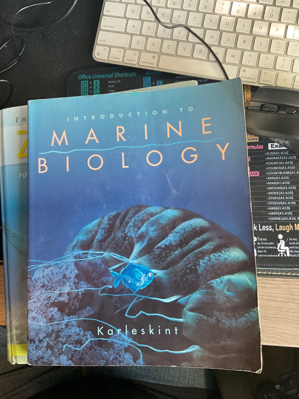 Introduction to Marine Biology – Paperback By Karleskint, George – ACCEPTABLE