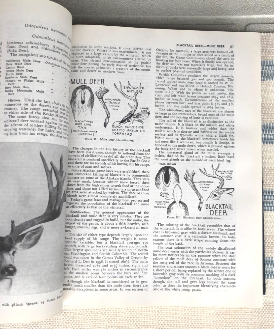 The New Hunters Encyclopedia editor Raymond R. Camp 1972 Third Revised Edition