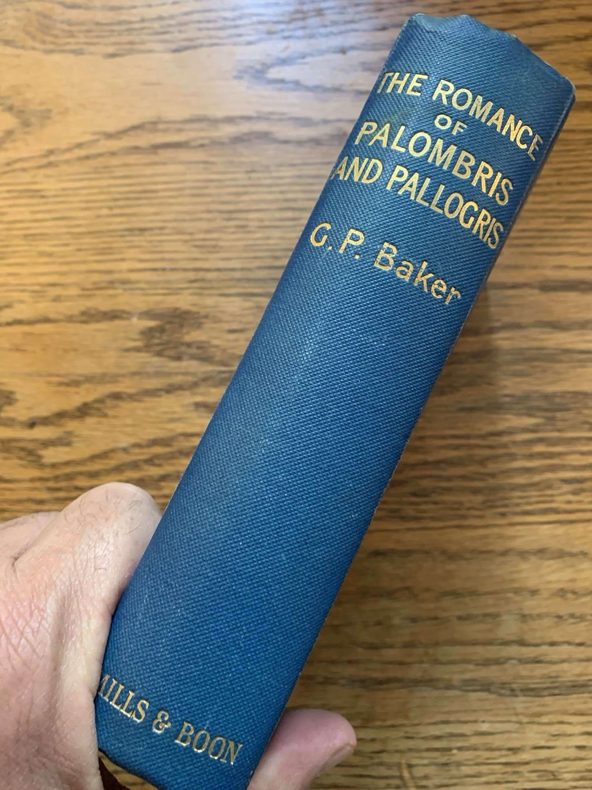 G P Baker / Romances of Palombris and Pallogris 1st Ed 1915 Signed