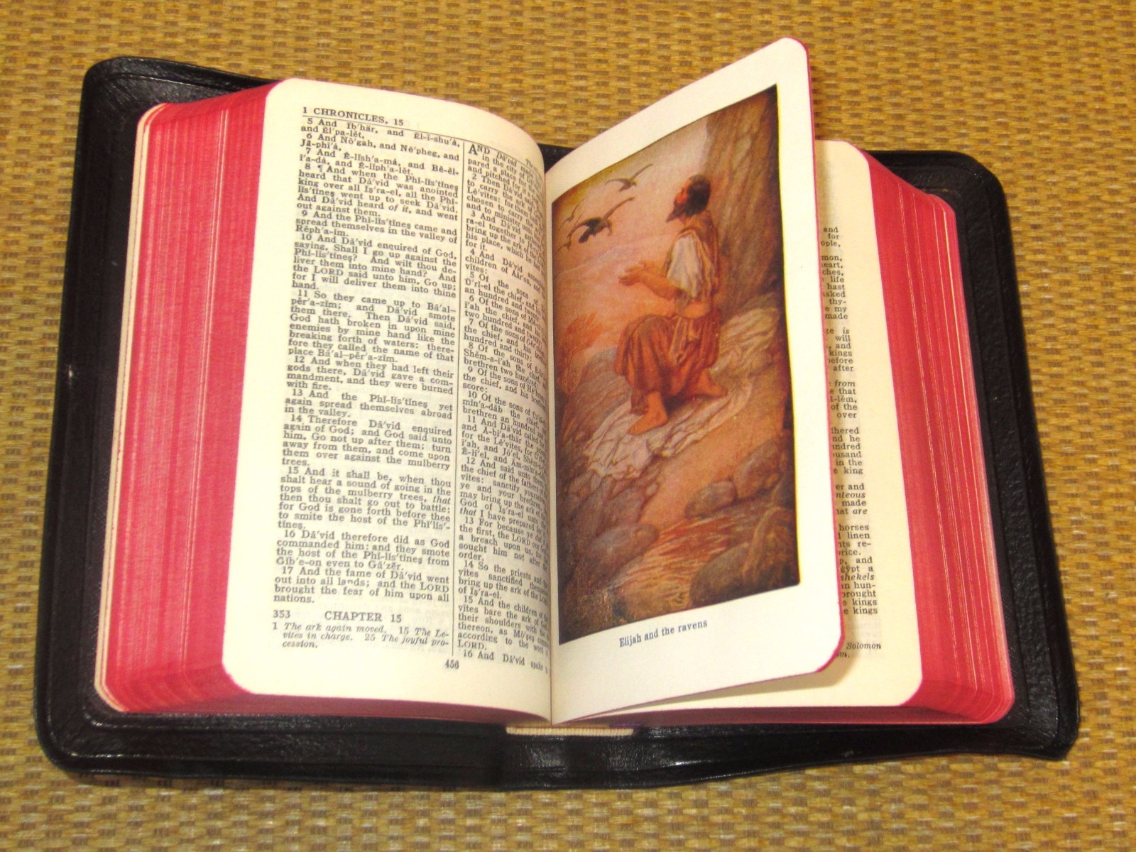 INTERNATIONAL Holy Bible | KJV STUNNING Leather Compact (4.25&Prime; x 6.5&Prime;) in BOX