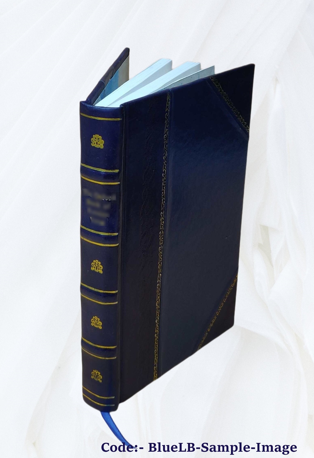 The Travis (Travers) Family And Its Allies : Darrocott, Lewis, L [Leather Bound]