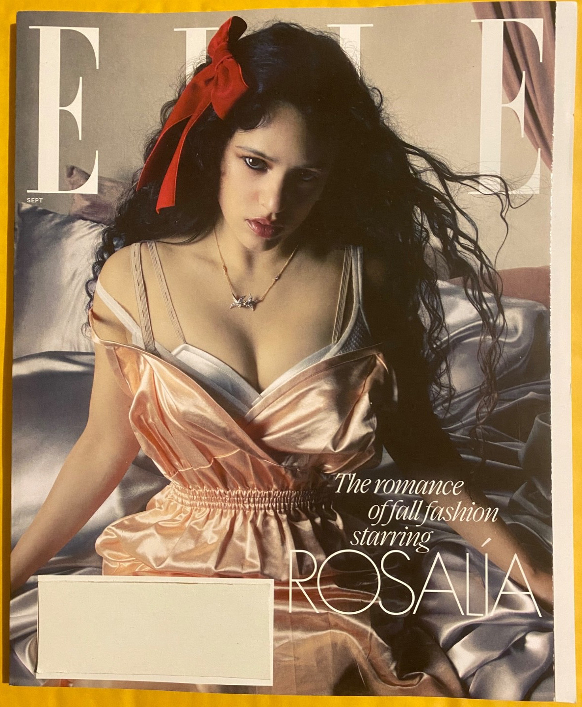 ROSALIA elle KIM KARDASHIAN Kate moss ARMANI benson Boone MERLIJNE SCHORREN
