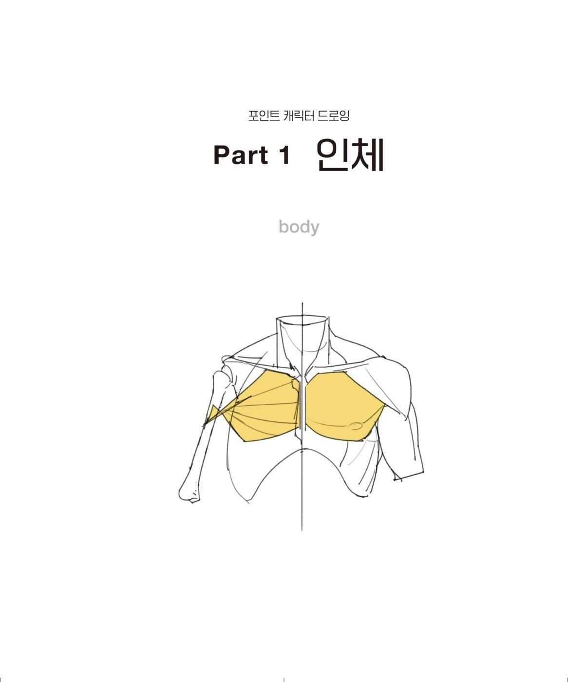 Point Character Drawing by Taco 포인트 캐릭터 드로잉 Total 2 Books Set (Korean) 한국어