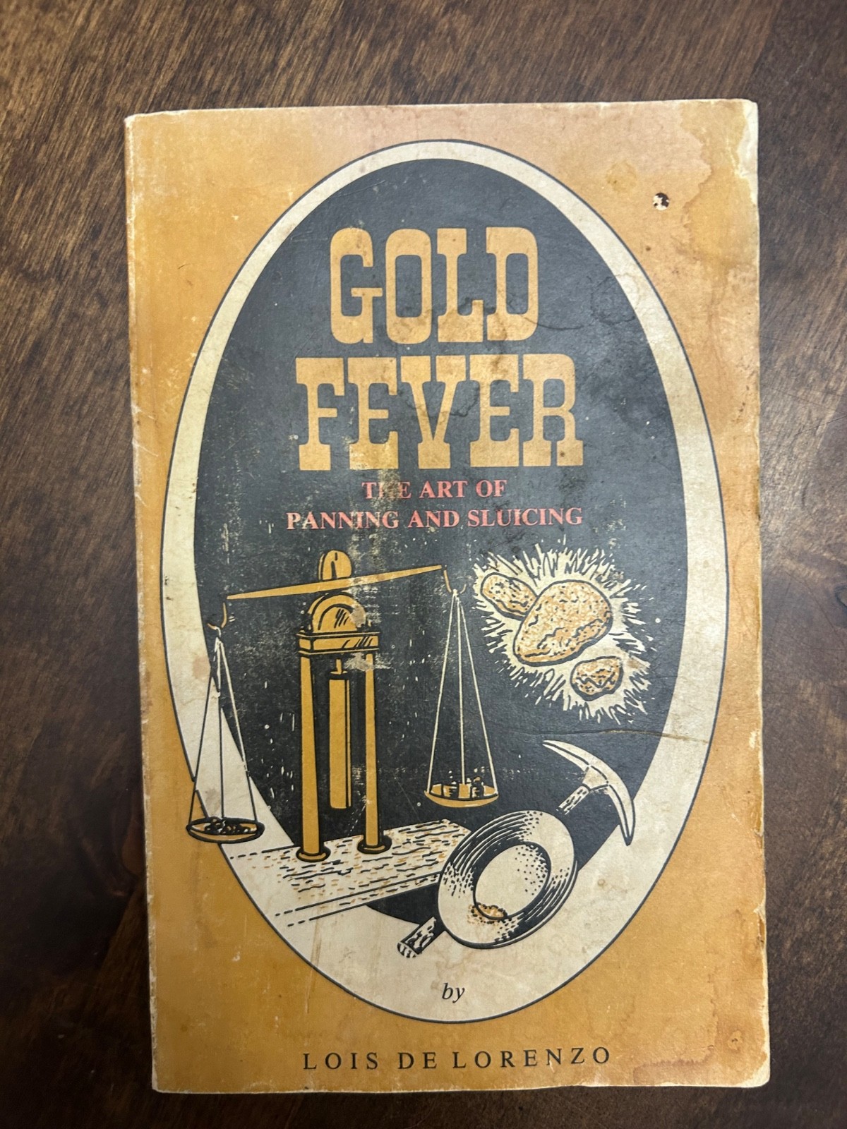 Gold Fever: The Art of Panning and Sluicing by Lois de Lorenzo