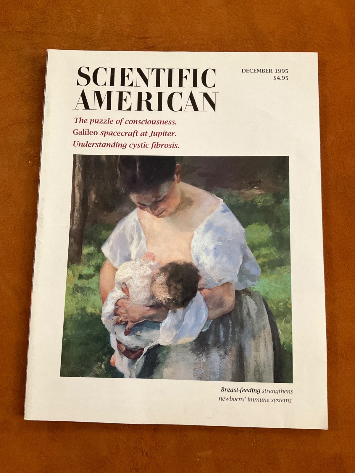 Scientific American Magazine December 1995