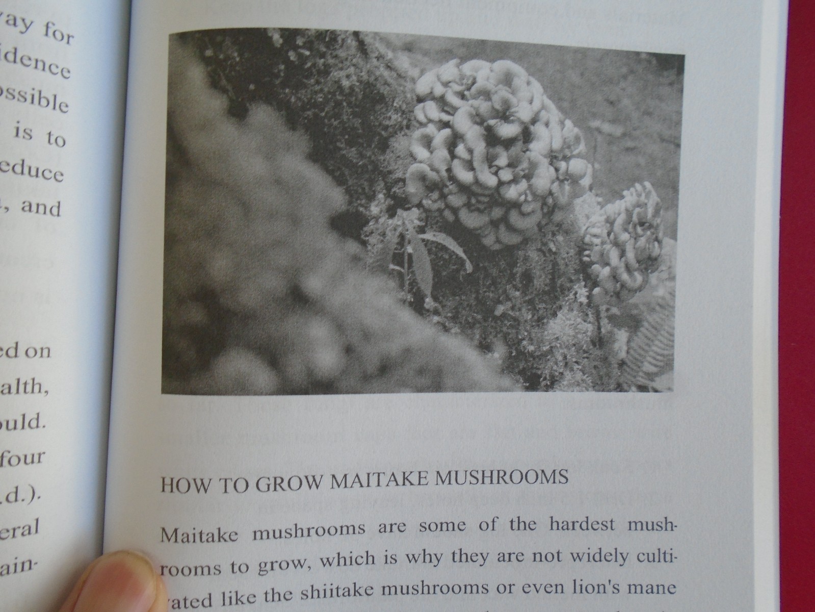 The Bible of Medicinal Mushrooms by J.P. Rae, 2022 1st Edition, 205 Pages