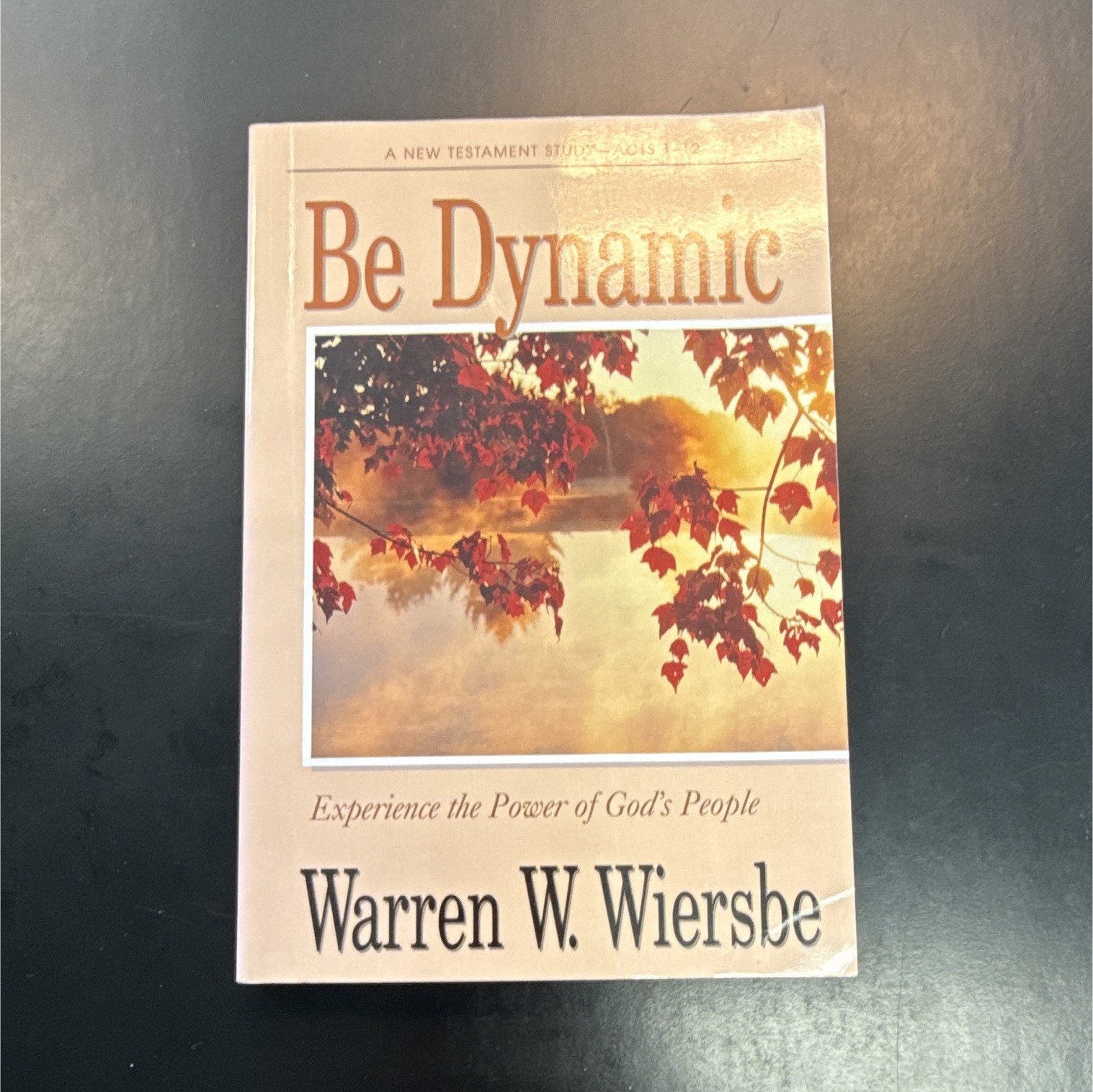 Be Dynamic PB Warren W. Wiersbe Acts 1-12 Study Guide Readers&rsquo; Guide Victor