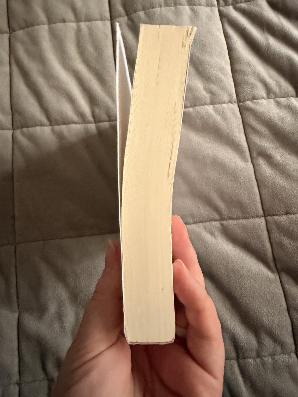 *Theo of Golden* By Allen Levi RARE SELF PUBLISHED 1st Edition Paperback
