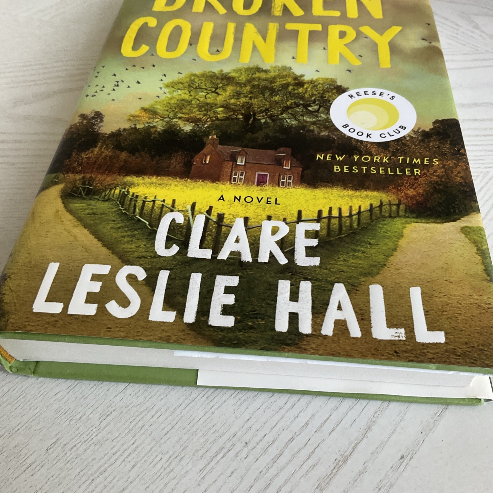 Broken Country by Clare Leslie Hall, Hardcover, Picador, Reese&rsquo;s Book Club