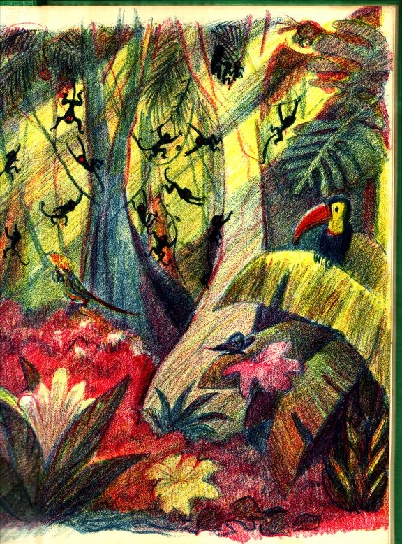 Third Monkey (First Edition, Dust Jacket) Don Freeman Illustrator