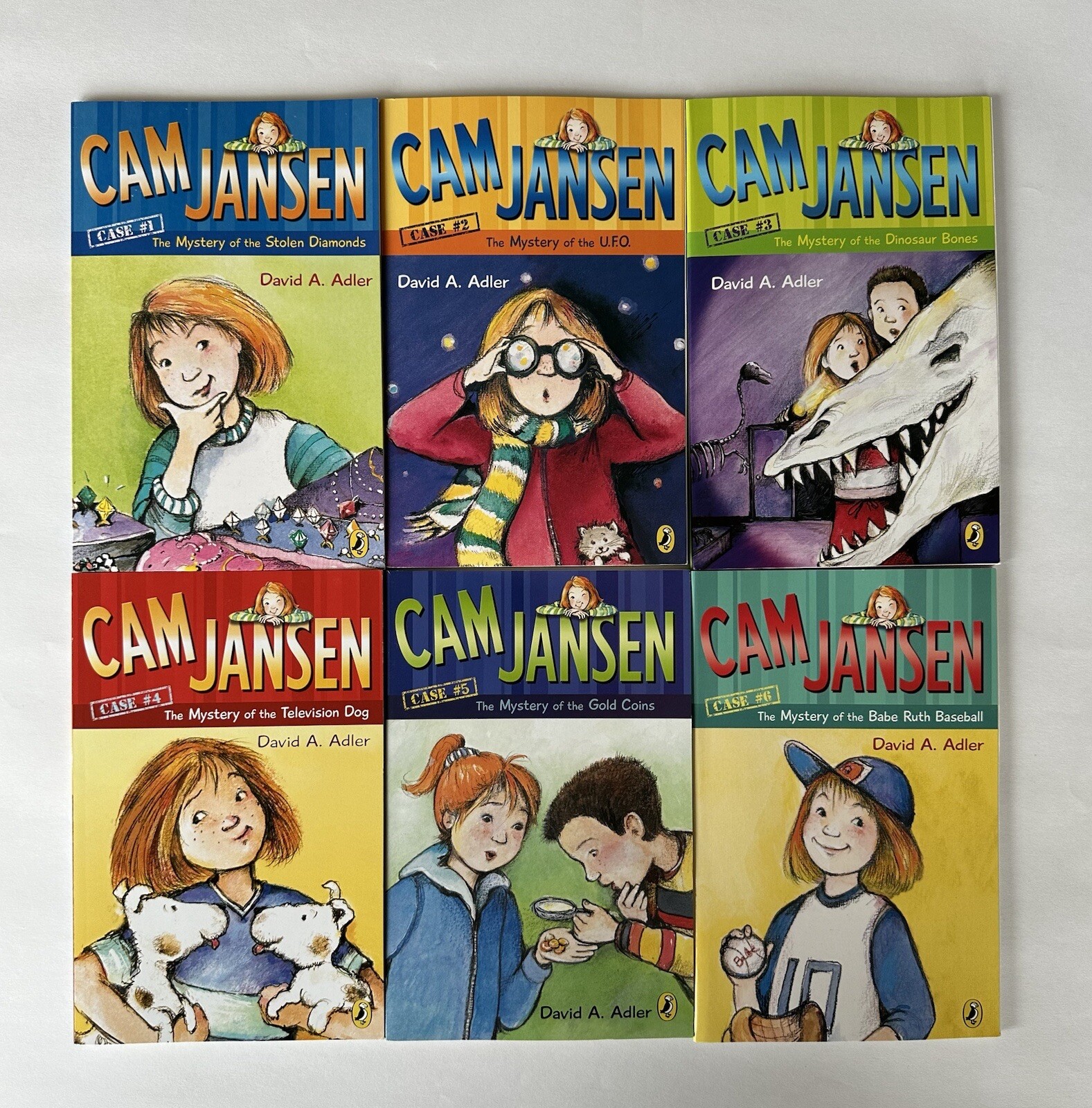 Cam Jansen Children&rsquo;s Mystery Books Set by David Adler Lot 34