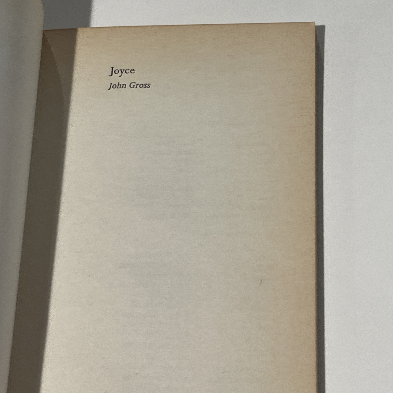 Joyce (John Gross – 1971)