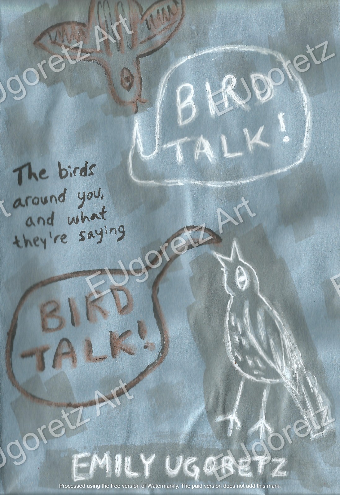 Illustrated Zine About Common Bird Sounds 6 Pages 5.5×8.5 inches