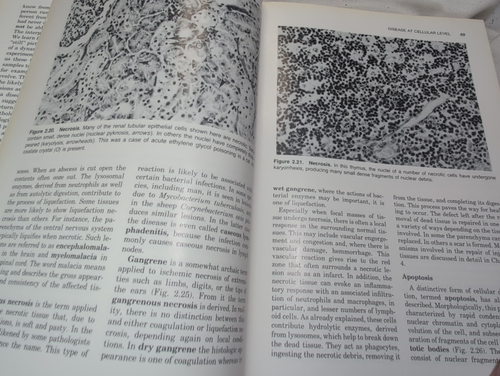 Mechanisms of Disease A Textbook of Comparative General Pathology 2nd Edition