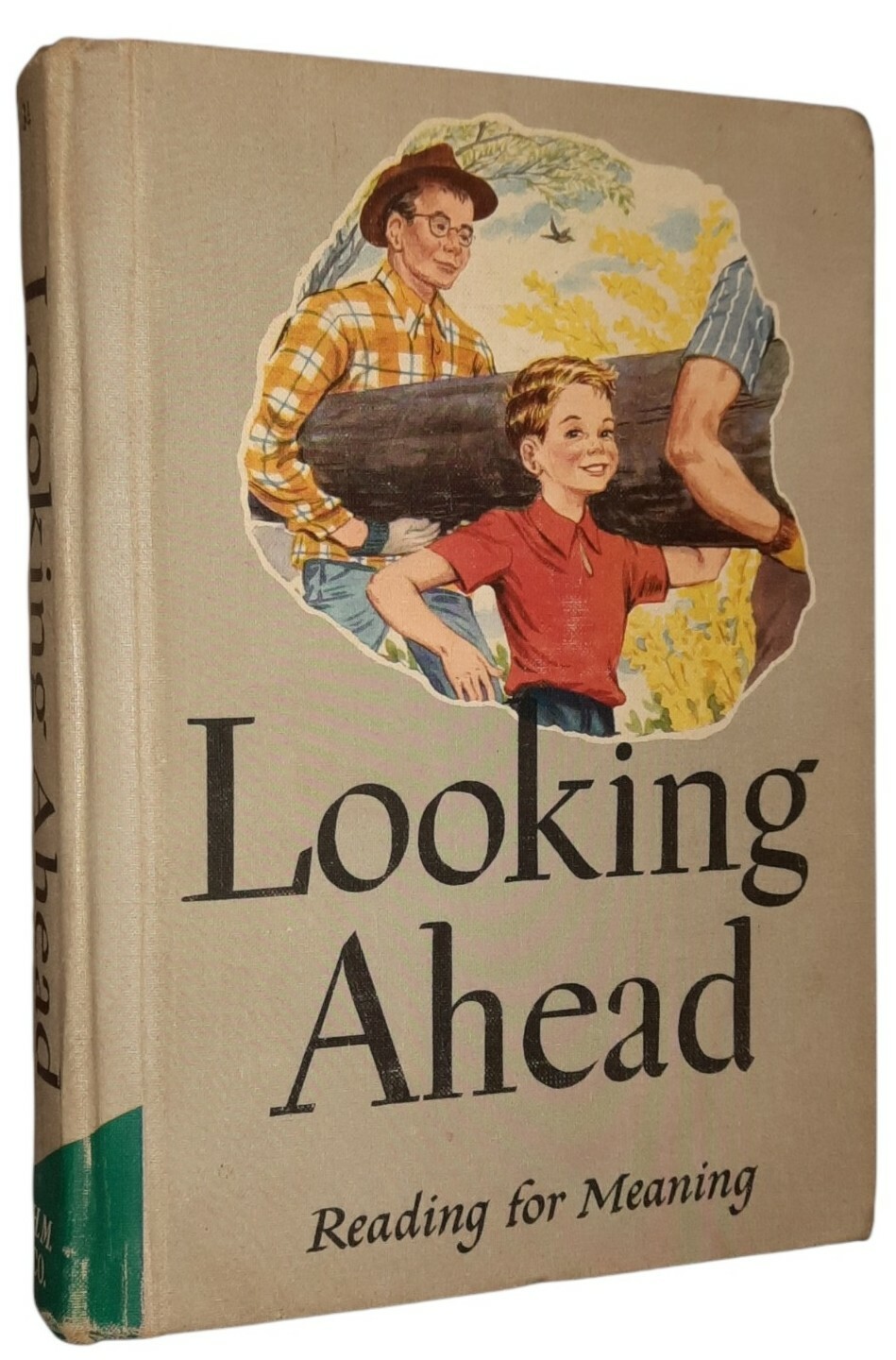 Looking Ahead Reading for Meaning Revised ED McKee Harrison McCowan Lehr