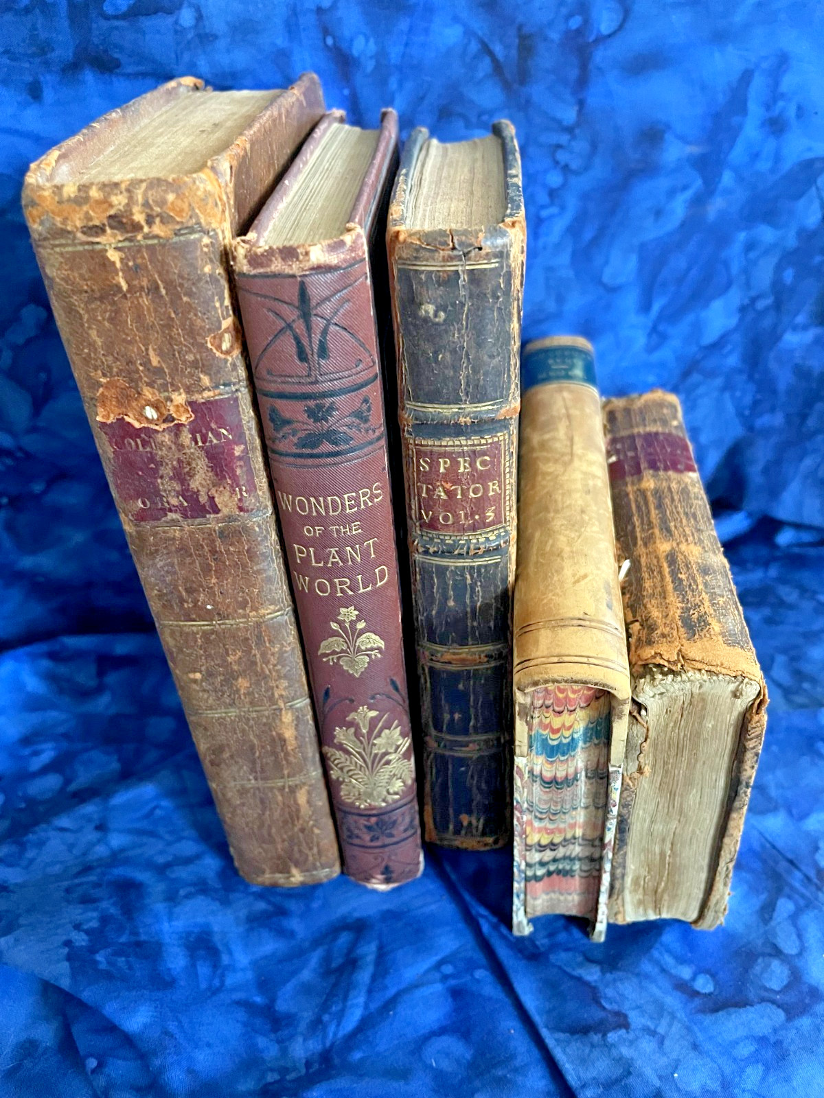 Tiny Antique Books; Miscellany, Plant World, Spectator, Columbian Orator #B46