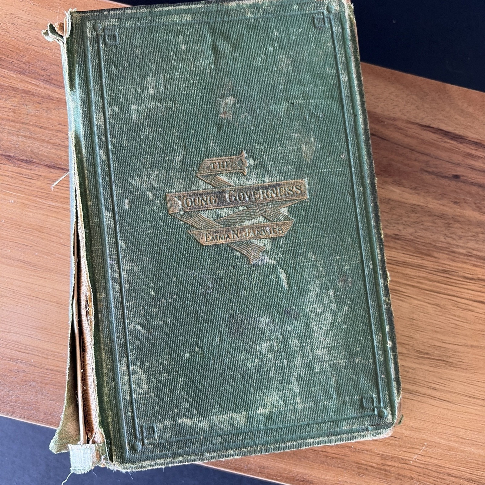 Rare 1871 Antique Book Agnes Morton’s Trial Emma Janvier Hitchcock And Walden NY