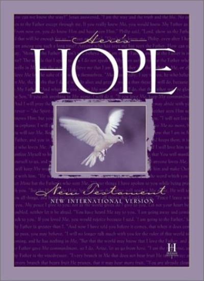 Here&rsquo;s Hope Bible: New International Version, New Testament By B