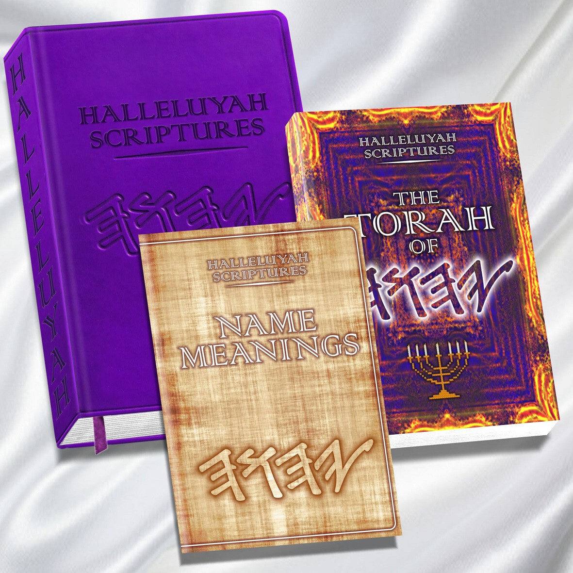LARGE PRINT RESTORED NAMES BIBLE HalleluYah Scriptures & 2 FREE Books
