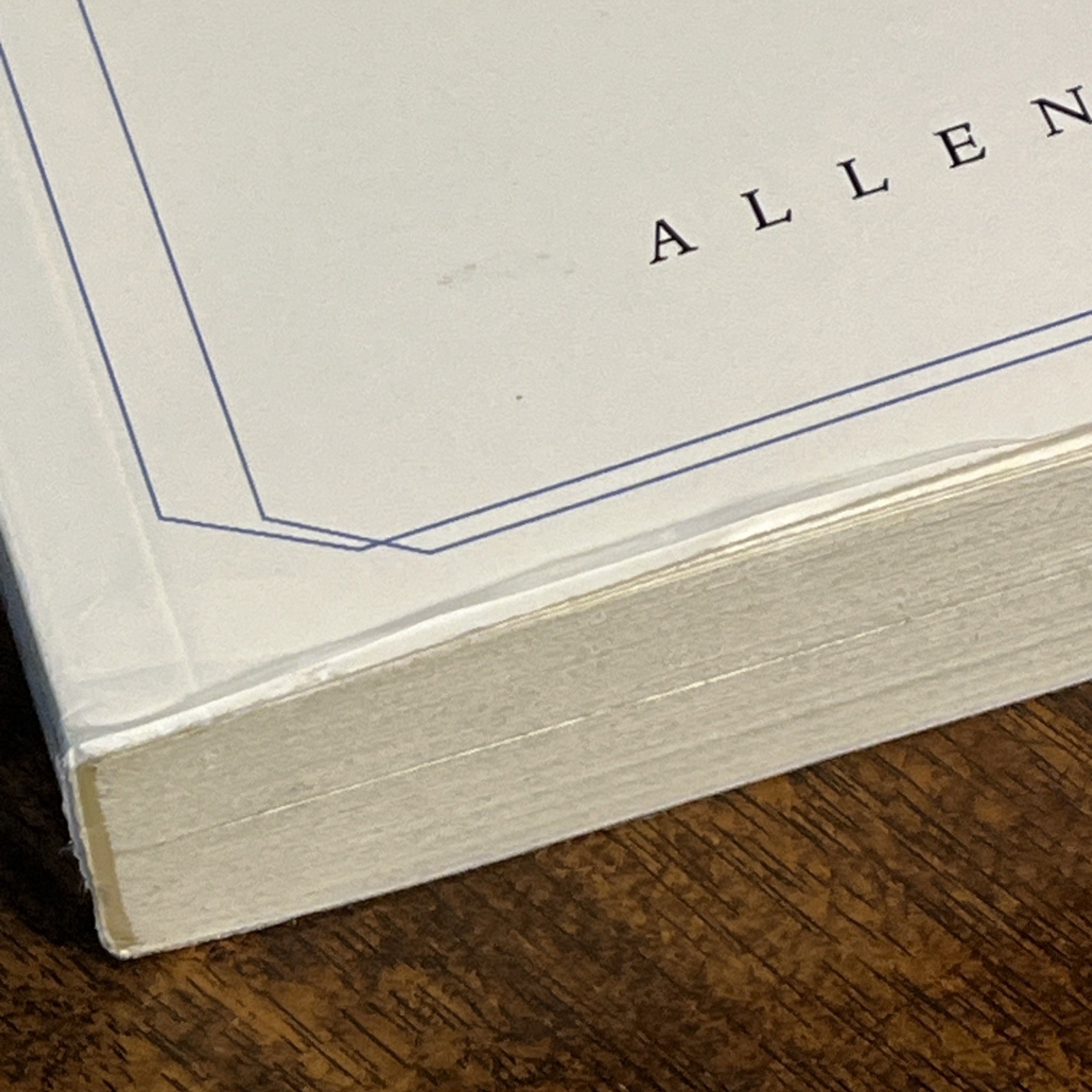 Theo of Golden Allen Levi RARE SELF PUBLISHED True 1st Edition STATED TPB