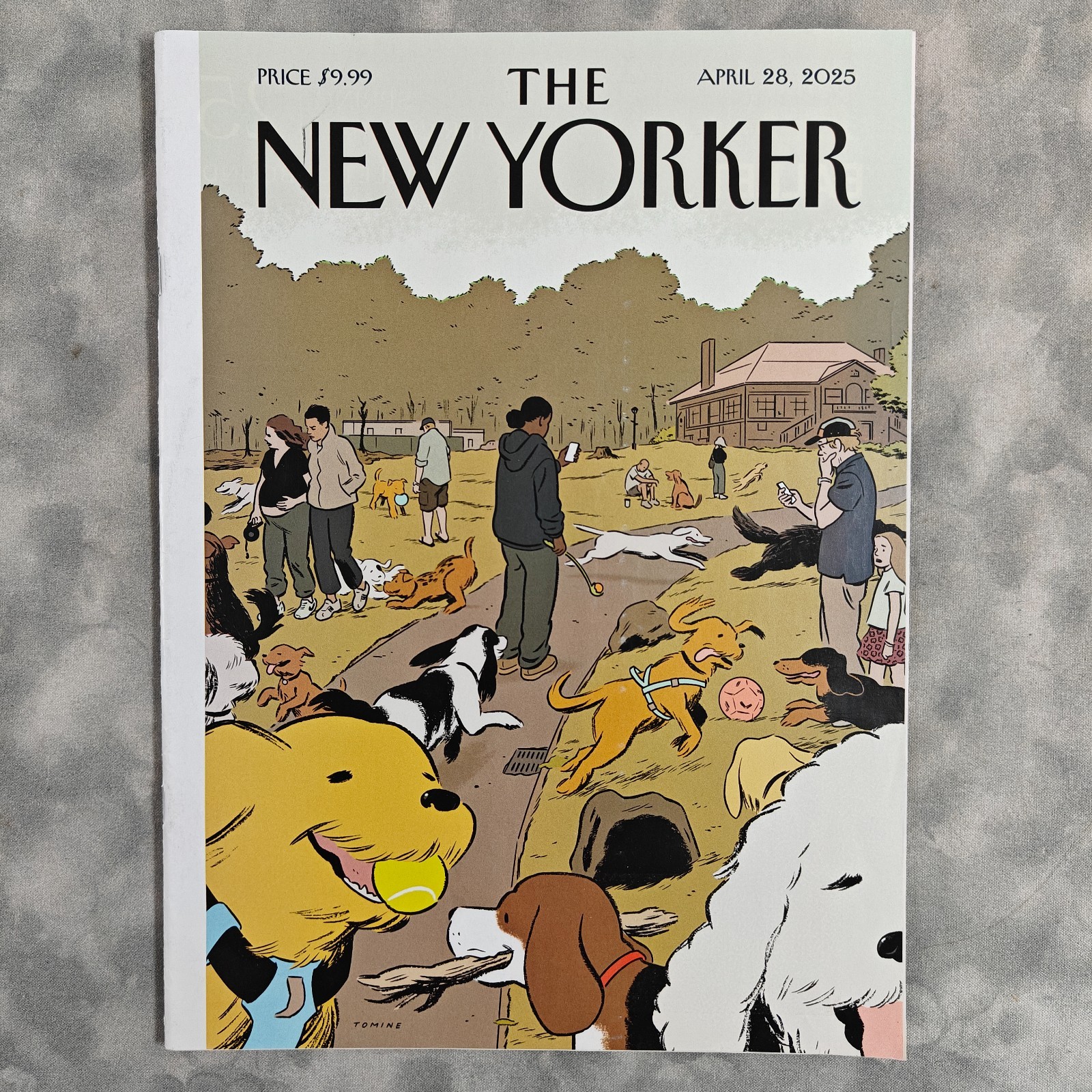 NEW YORKER Magazine April 28 2025 Lucky Dogs Tomine Dog Cover