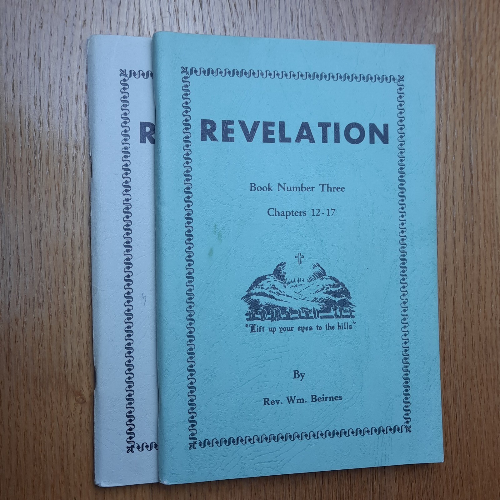 Lot of 2 Revelation Book #2 & 3 Chapters 6-17 by Rev. William Beirnes