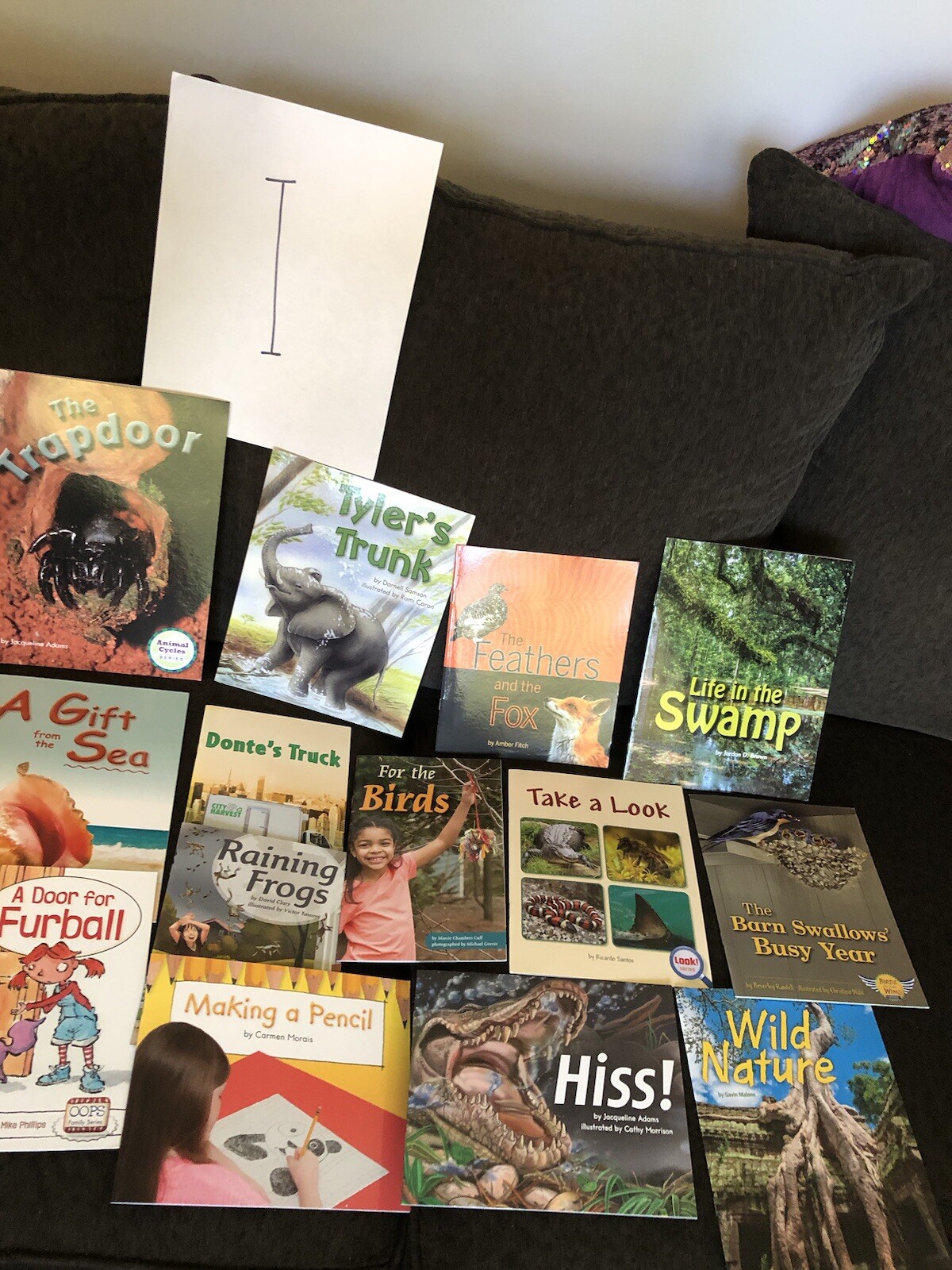 First Grade Reading Books — HOME SCHOOL — Grade 1 Like New 10 Different $15