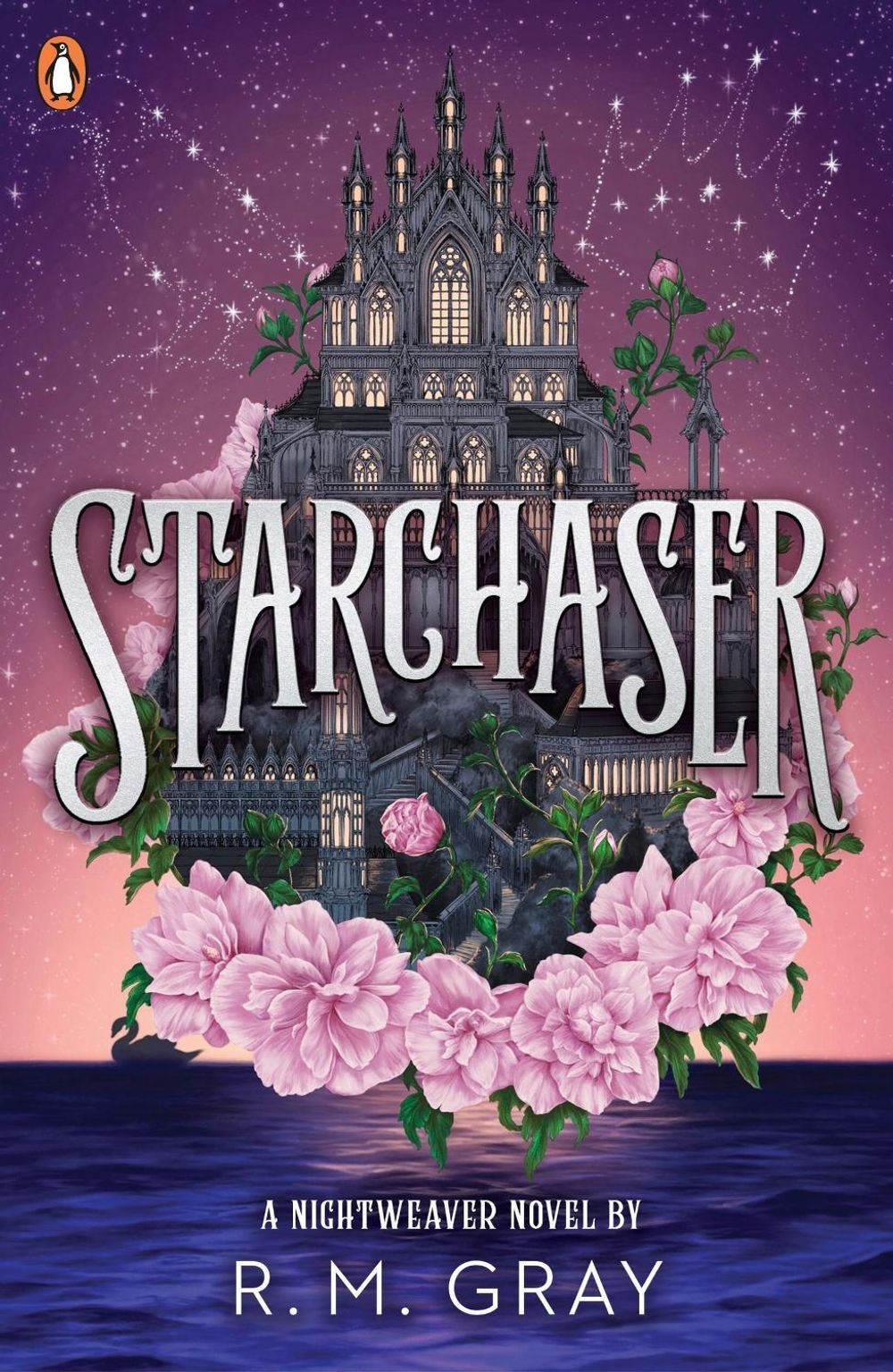 Starchaser by R.M. Gray Paperback Book