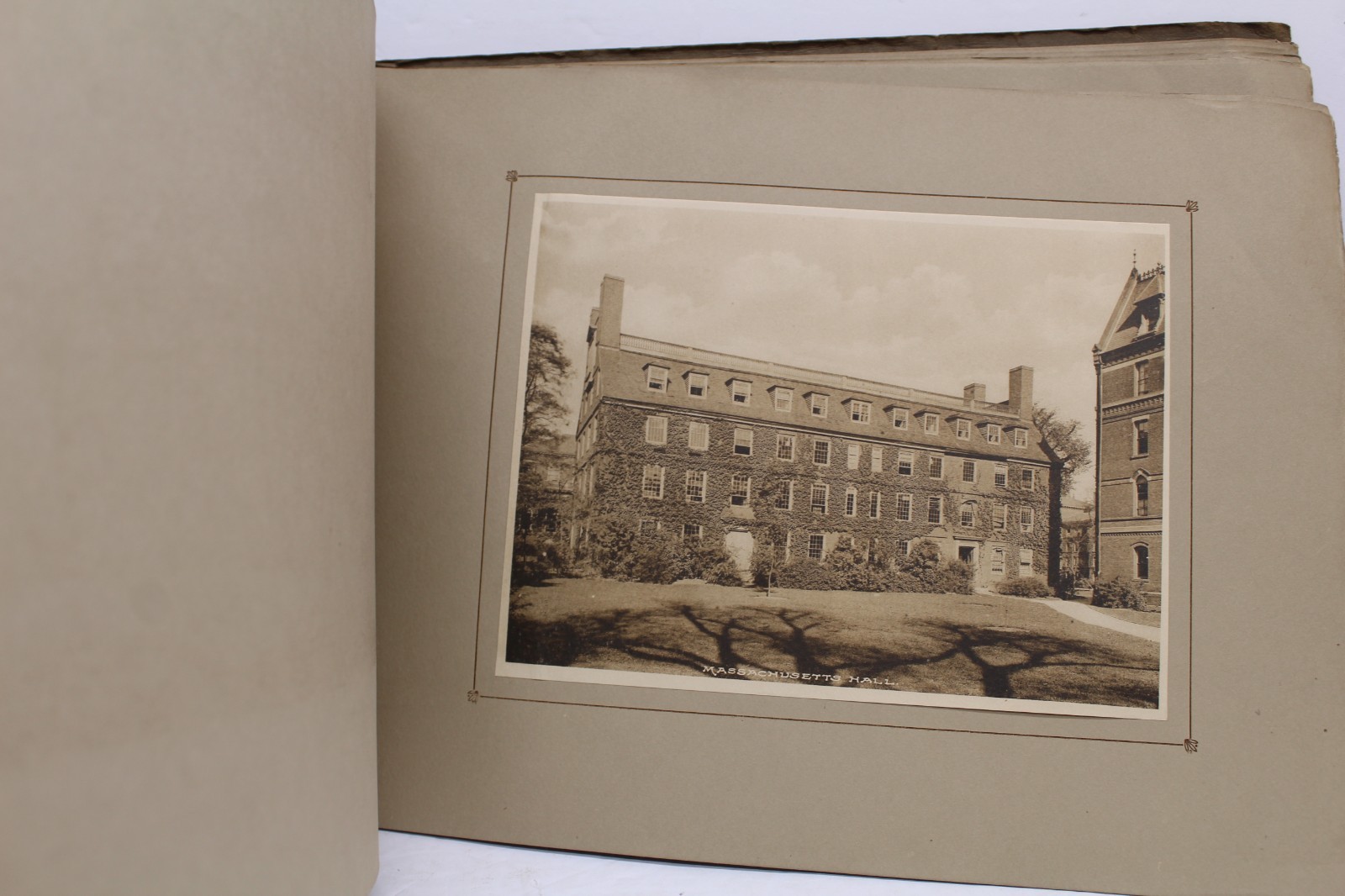 Antique Harvard University Albertype Souvenir Photo Book 25-6&Prime;x8&Prime; pictures