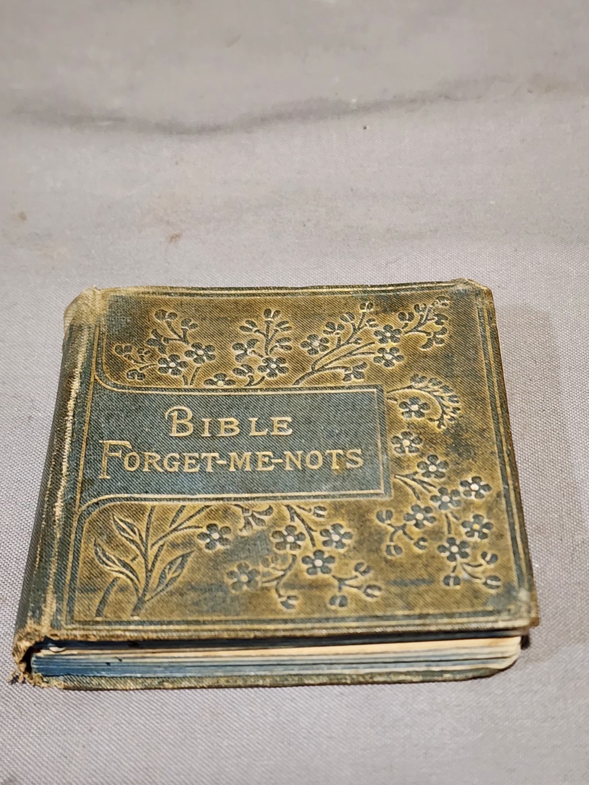 Antique 1900&rsquo;s Bible Forget-Me-Nots By Morning & Night Watches Mini Book