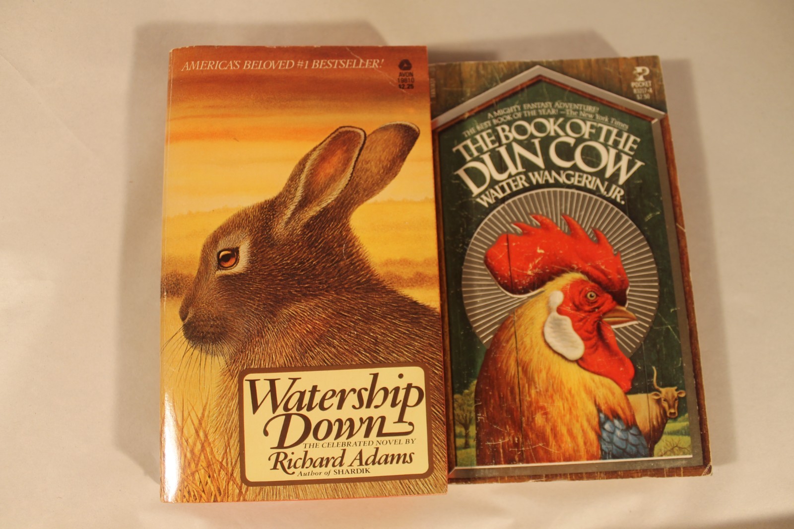 Lot of 10 Fantasy Novels – Mercedes Lackey, McCaffrey, Chester, McCaughrean