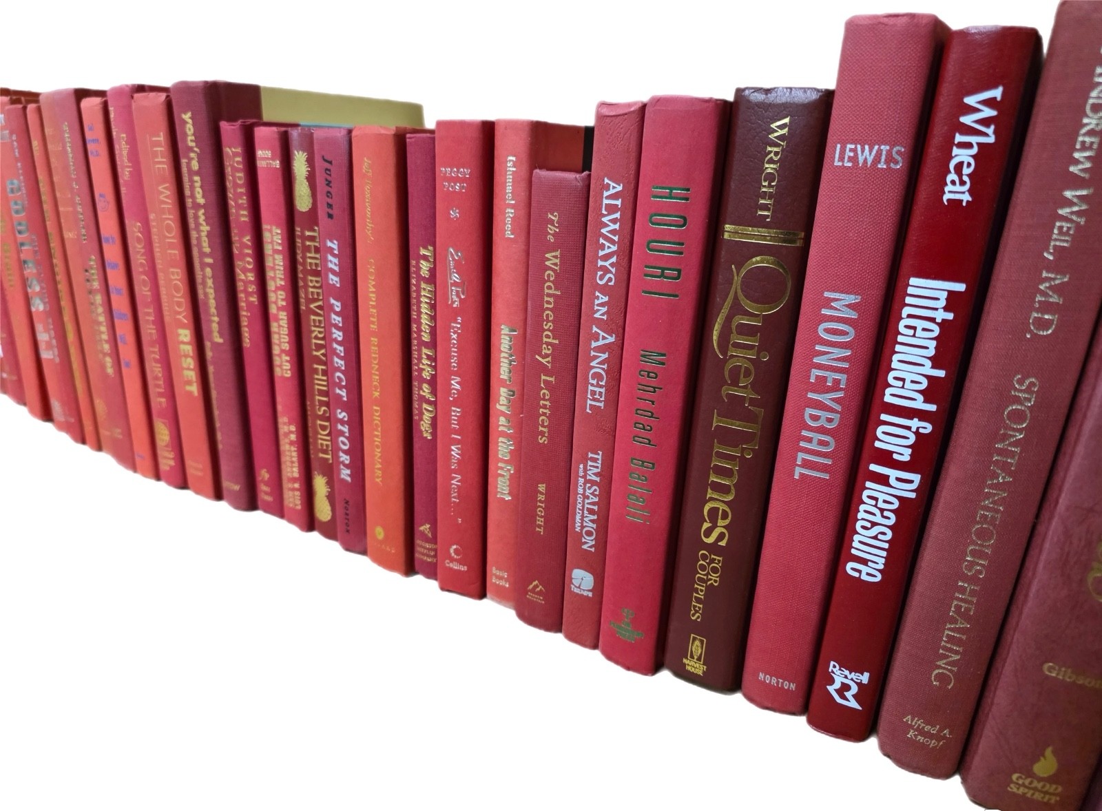 Books by the Foot by Color – Modern Decorative Hardcover Bundles for Shelf Style