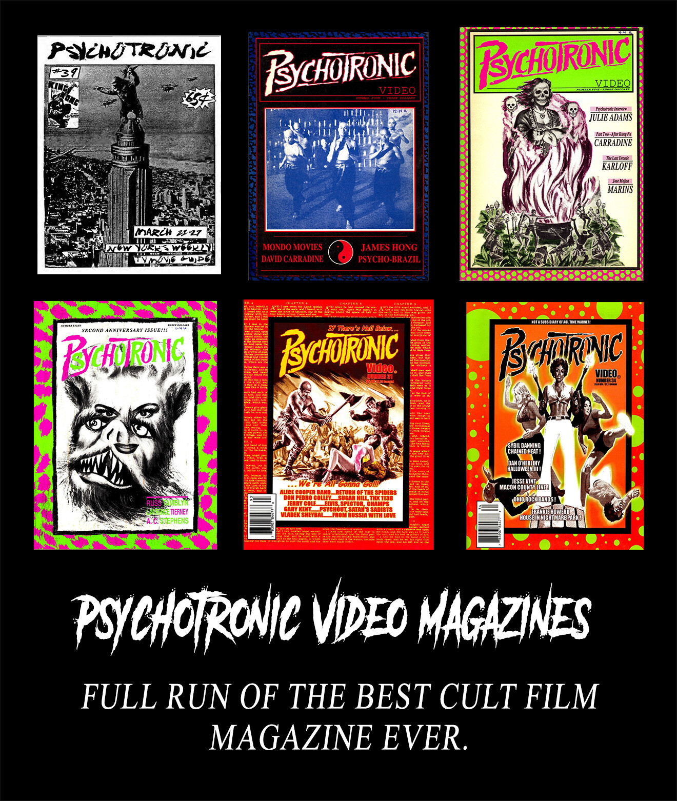 Psychotronic Video Magazines Full Run Set of the Best Cult Film Magazine Weldon