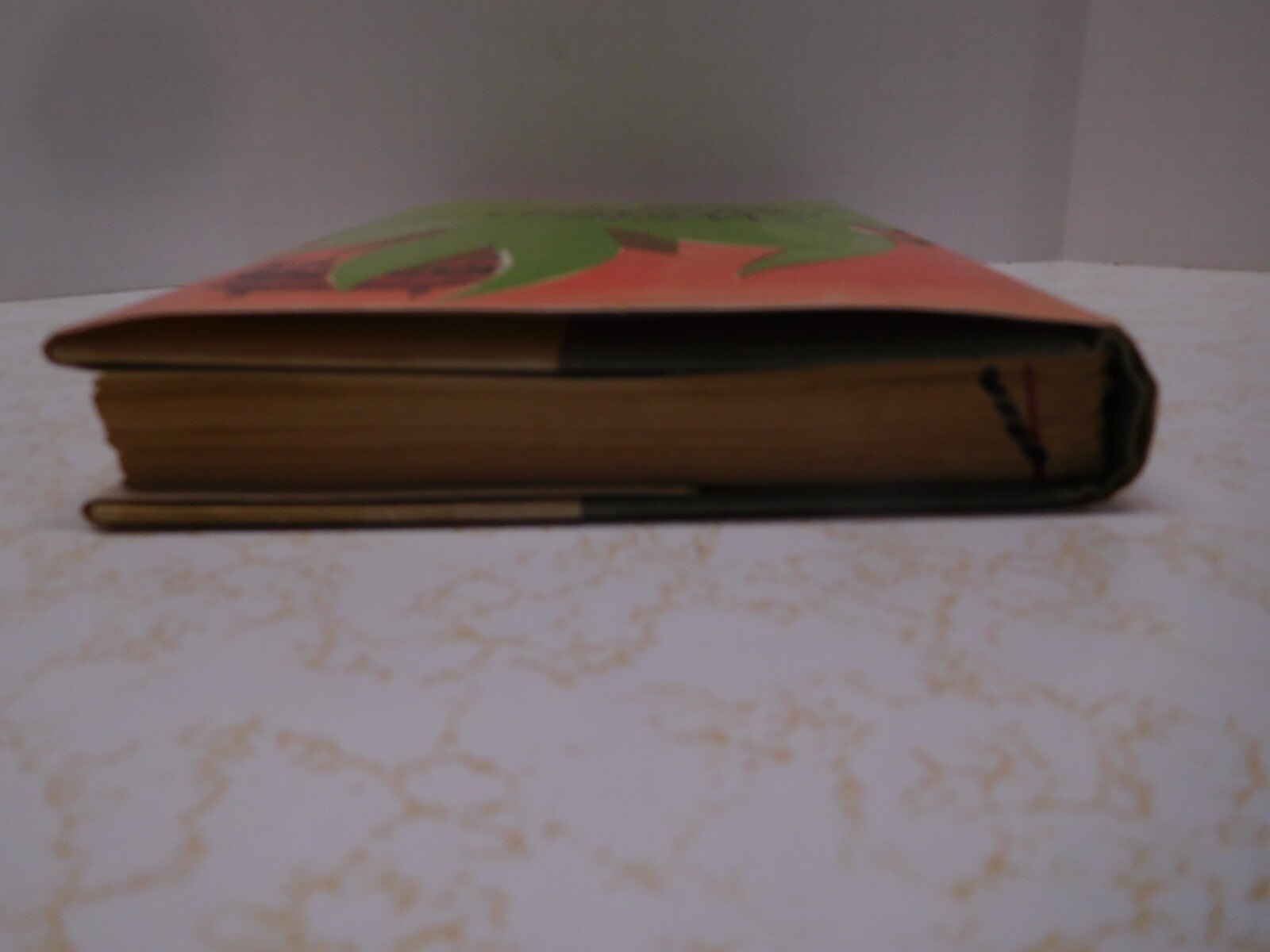 1st Edition Collectible Book ~ Wide Sargasso Sea by Jean Rhys 1966